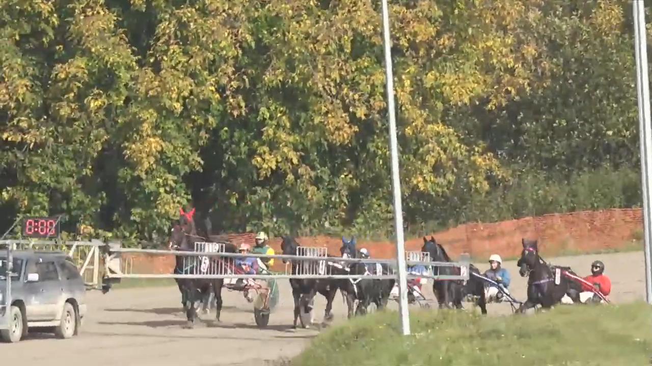 Старт, заезд 3, 26 сентября 2026